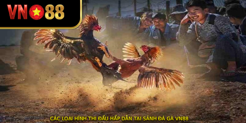Các loại hình thi đấu hấp dẫn tại sảnh đá gà vn88