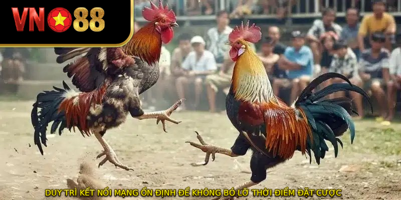 Duy trì kết nối mạng ổn định để không bỏ lỡ thời điểm đặt cược 