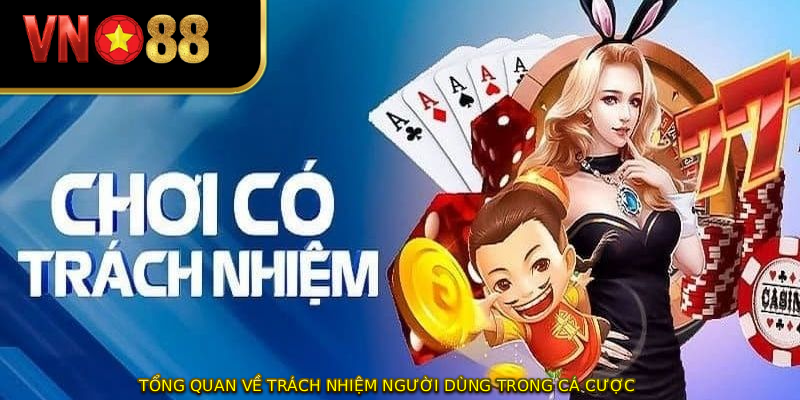 Tổng quan về trách nhiệm người dùng trong cá cược